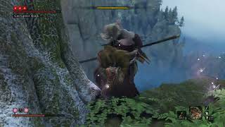 Sekiro  Corrupted Monk  One Phase BuggedCheese 2024 [upl. by Einhorn730]