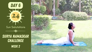 Day 6  Surya Namaskar Challenge  24 Sun Salutations Follow Along  Bharti Yoga [upl. by Tiff]