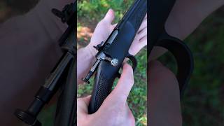 Keystone Crickett 22LR First Look [upl. by Davison]