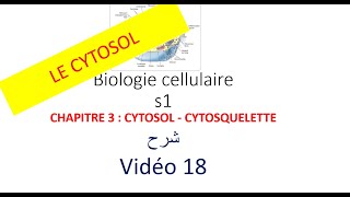 biologie cellulaire s1 vidéo 018  CYTOSOL  CYTOSQUELETTE شرح [upl. by Ymer]