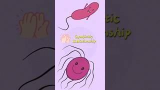 Microbial Syntrophy A Partnership microbiology101 crossfeeding easymicrobiology [upl. by Eelyam916]