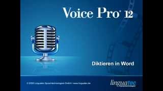 Voice Pro 12 Spracherkennung Druckreifes Diktieren in Word [upl. by Agnola759]