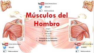 Anatomía  Músculos del Hombro Origen Inserción Acción Inervación Irrigación [upl. by Mather]