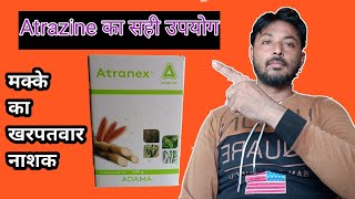 मक्का की फसल में खरपतवार का नियंत्रण ।Atrazine का प्रयोग करने का तरीका।Atrazine 50WP [upl. by Panchito]