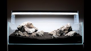 ADA 60f Aquascape Timelapse [upl. by Jacobine]