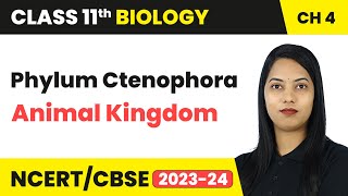 Phylum Ctenophora  Animal Kingdom  Class 11 Biology Chapter 4  CBSE 202425 [upl. by Strain]