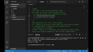 Use of fgets function to get strings as user input in C [upl. by Nada]