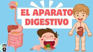 ¡Vamos a aprende el sistema digestivo para niños [upl. by Einnaej463]