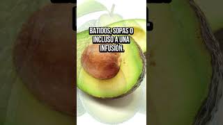 ¡No tires la semilla de aguacate Descubre sus beneficios SuperAlimentos [upl. by Lancey]