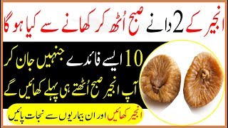 Anjeer Ke Fayde For 2 Figs Benefits  Health Tips In Urdu [upl. by Nnyledam]