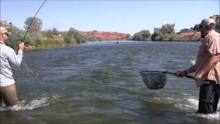 The Humble Fly Shop Presents Thermopolis Wyoming [upl. by Aryan]