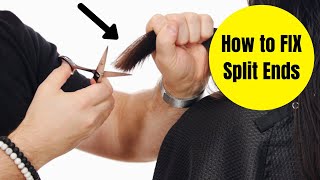 How to Fix Split Ends  TheSalonGuy [upl. by Alain163]