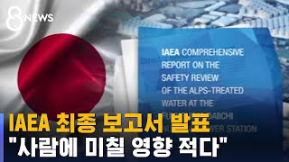 IAEA quot후쿠시마 오염수 방류 계획 국제안전기준에 부합quot  SBS 8뉴스 [upl. by Aihselat]