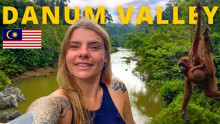 3 DAYS in 130 millionyearold JUNGLE IN BORNEO DANUM VALLEY PART 1 [upl. by Smaoht777]