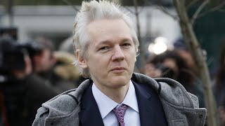 Julian Assange ‘definitely an activist’ but by ‘no means’ a journalist [upl. by Lanuk]