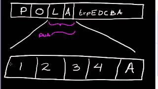 Trp operon [upl. by Alvar]