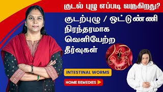 Intestinal Worms Home Remedies  புழுக்கடி தீர்வுகள்  குடல் புழுக்களை அழிக்க வீட்டு வைத்தியம் [upl. by Zined62]