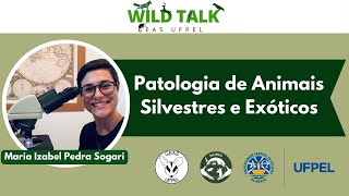 Wild Talk  Patologia de Animais Silvestres e Exóticos [upl. by Arodnap]