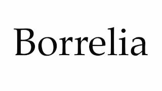 How to Pronounce Borrelia [upl. by Nylatsirk]