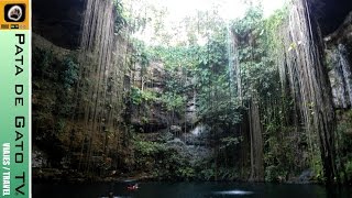 Guía cenotes de Yucatán  Yucatan cenotes guides [upl. by Ilrak]