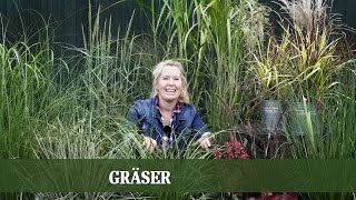 Gräser  Alles zu Arten und Ansprüchen von Gräsern [upl. by Anoyek]