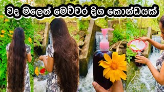 සතියෙන් අලුත් හිසකෙස් වැවෙන රහස  Hibiscus Shampoo for fast hair growth  Hair Care Vlogs My Diar [upl. by Presber]