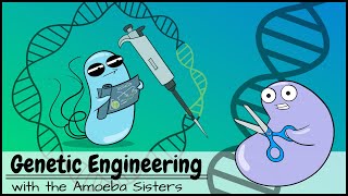 Genetic Engineering [upl. by Bernadette252]