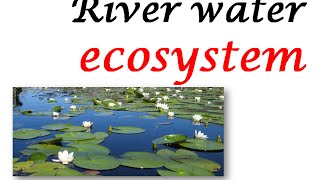 RIVER WATER ECOSYSTEM [upl. by Eintroc277]