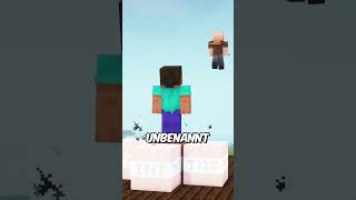 Der LÄNGSTE NAME in MINECRAFT minecraft toobad fakten [upl. by Tap973]