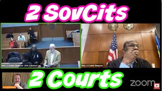 Two Of Our Favorite Judges Start The Day With Sovereign Citizens [upl. by Hcirdla755]