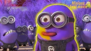 Minions funny memorable moments and clips HD episode 07 [upl. by Etezzil209]