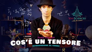 Cosè un Tensore intuitivamente Introduzione  Analisi Tensoriale [upl. by Wittenburg311]