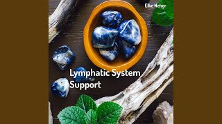 Lymphatic System Support [upl. by Oiram]