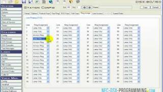 NEC DSX Ring Assign per Station per Line in Day Night amp Delay  wwwNECDSXProgrammingcom [upl. by Cooper981]