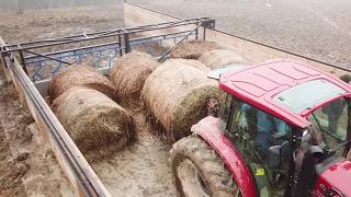 Large Hay Feeder  Eden Shale Farm [upl. by Votaw]