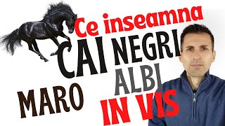 Ce inseamna cand Visezi Cai albi Negri sau Maro Semnificatie si Intepretare Vis [upl. by Cott]