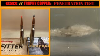 Hornady GMX vs Federal Trophy Copper 65 Creedmoor Penetration Test [upl. by Dareen]