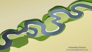 Stream Meanders and Floodplain Formation [upl. by Ringe960]