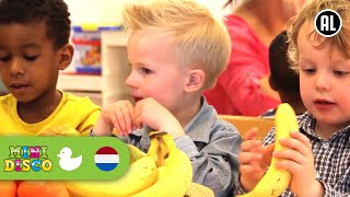 FRUITLIED  Kinderliedjes  Kinderdagverblijf  Minidisco [upl. by Sarita]