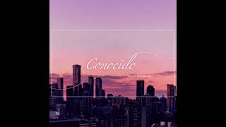 Conocido by Tauren Wells Covered by Esther Kim [upl. by Aissej]