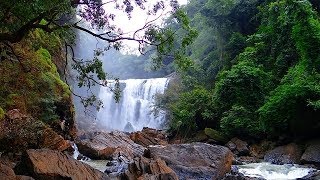 MAGNIFIQUE CASCADE Rivière et Oiseaux pour Oublier les Soucis et Dormir Profondément – 100 RELAX [upl. by Eilrac506]