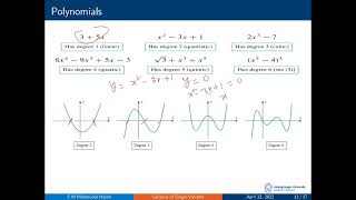 Polynomials graph and their Function Learning in bangla বাংলা টিউটোরিয়াল [upl. by Arvo]