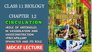 ROLE OF ARTERIOLE AND PRE CAPILLARY SPHINCTER IN VASOCONSTRICTION AND VASODILATION  11 BOLOGY [upl. by Stanwood412]