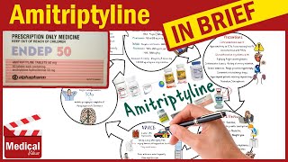 Amitriptyline  Elavil 10 mg  What is Amitriptyline Used for Dosage Side Effects amp Precautions [upl. by Bobby59]