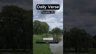 1 Verse 1 Minute Proverbs 133 daily bible verseoftheday spiritualgrowth proverbs shorts [upl. by Naltiak]