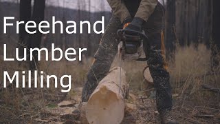 Freehand Chainsaw Milling [upl. by Selinski]