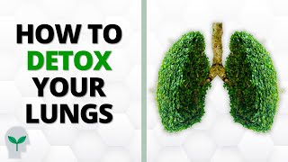 How to Detoxify Your Lungs at Home  Lung Detoxification [upl. by Oirasor]