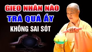 Sống Ở Đời Luật Nhân Quả không Chừa Một Ai hãy xem bài này trước khi quá muộn  HAY QUÁ [upl. by Ronald818]