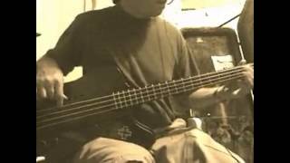 Sepultura quotDead Embryonic Cellsquot Bass Cover [upl. by Dorfman827]