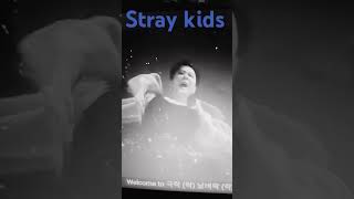 stray kids lalalala [upl. by Annaya]